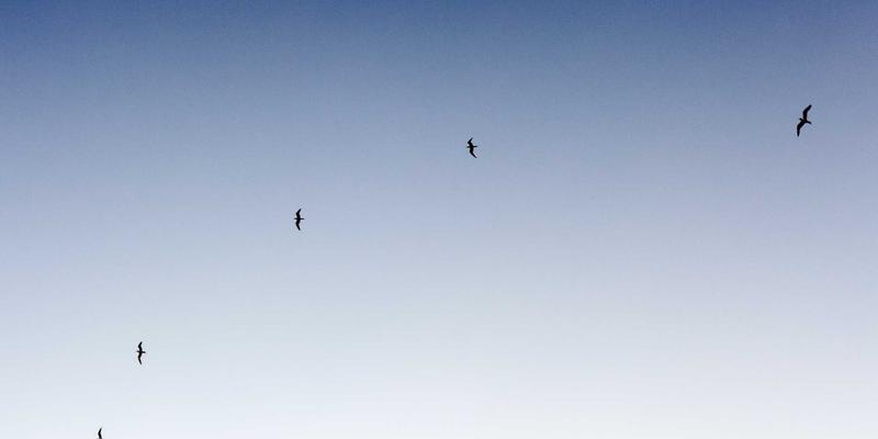 从家居照明到城市智慧:东莞龙凯LED路灯智能控制系统如何重塑节能照明新标准